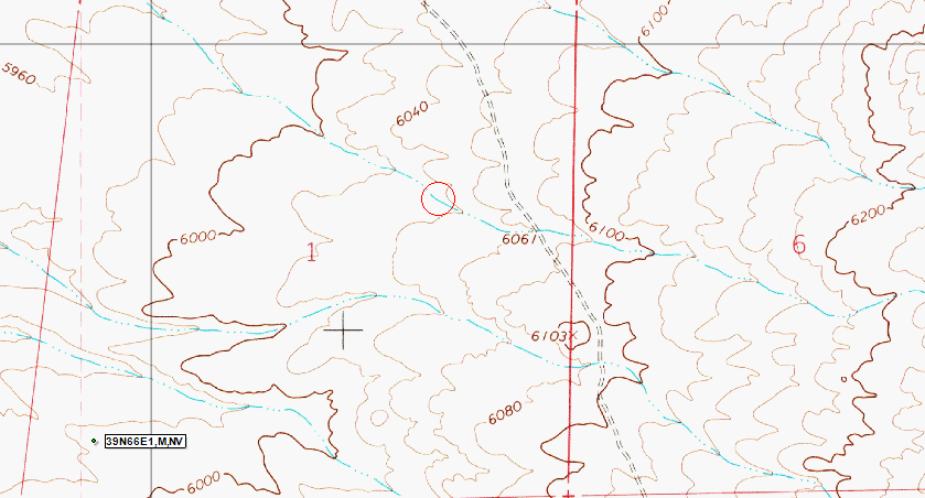GIS Topo Map View